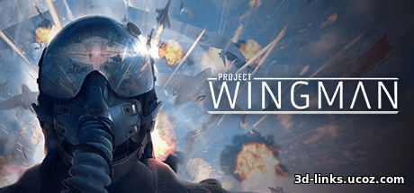 Project Wingman flight action game